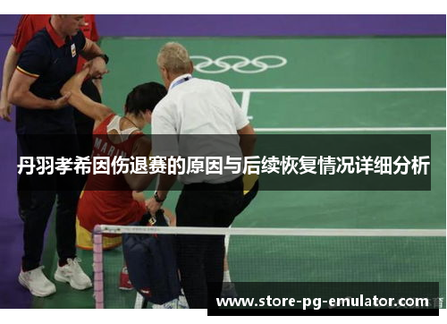 丹羽孝希因伤退赛的原因与后续恢复情况详细分析