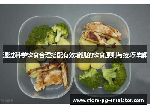 通过科学饮食合理搭配有效增肌的饮食原则与技巧详解